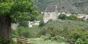 Canavaggia