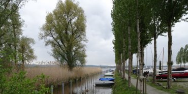 Lac de Constance