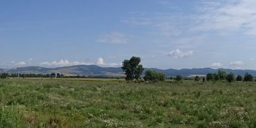 Paysage