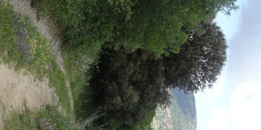 Un sentier peu accueillant