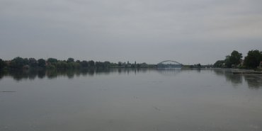 Ce bras du Danube est calme, un peu marécageux