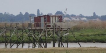 Again, a fisherman's hut in the marshland